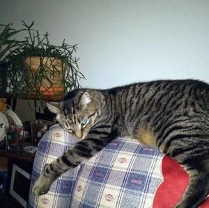 Meet your Posher, Lori